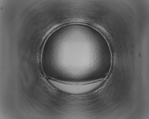 X0000086101212200704091343