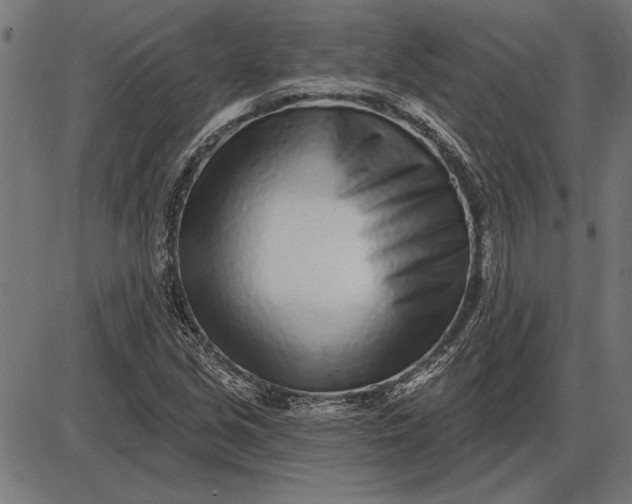 X0000086101213200704091343