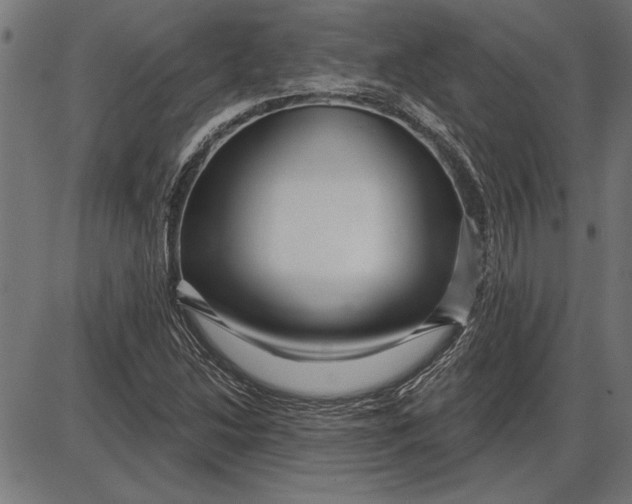 X0000086101214200704091344