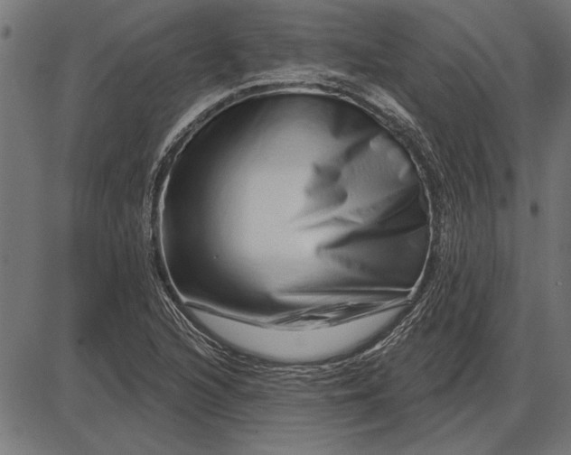 X0000086101216200704091344