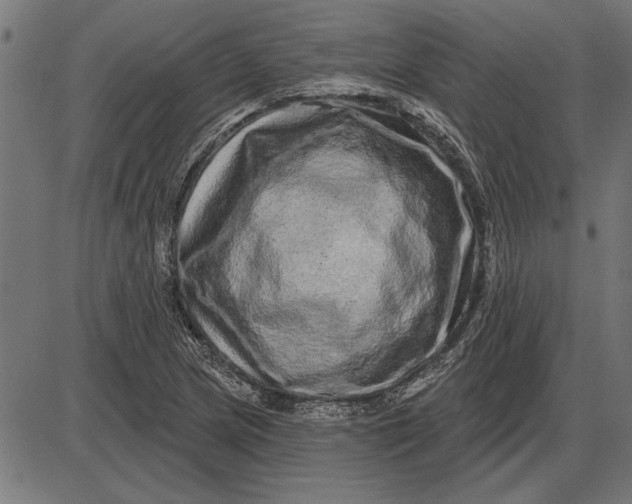 X0000086101217200704091344