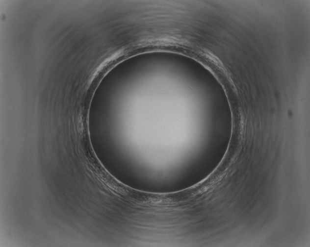 X0000086101218200704091344