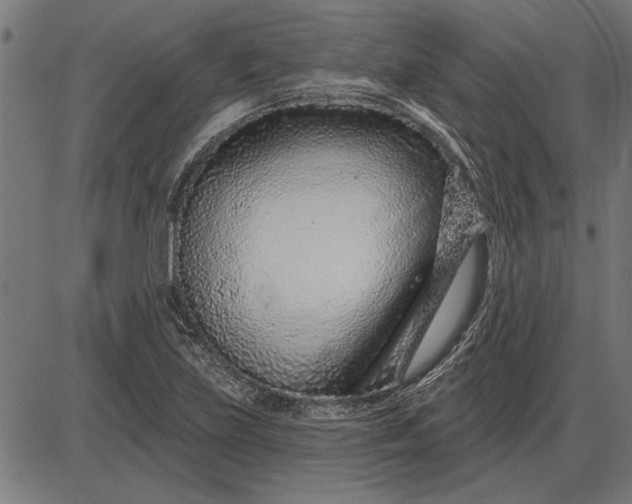 X0000086101219200704091344