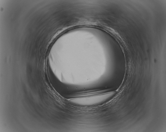 X0000086101220200704091344