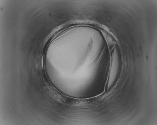 X0000086101221200704091344