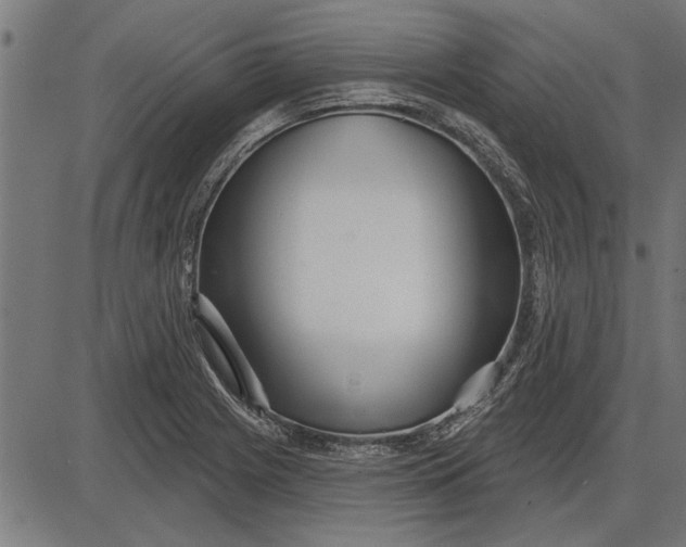 X0000086101225200704091344
