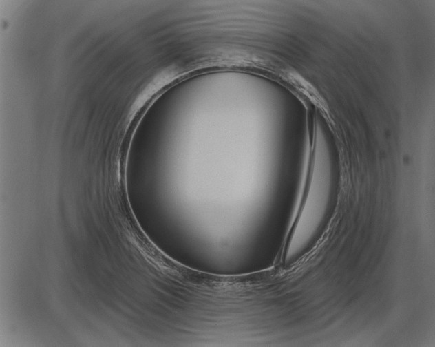X0000086101226200704091344