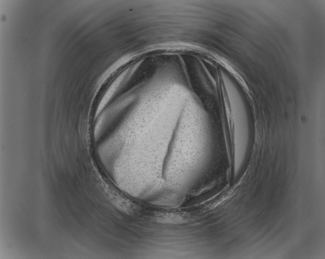 X0000086101229200704091344