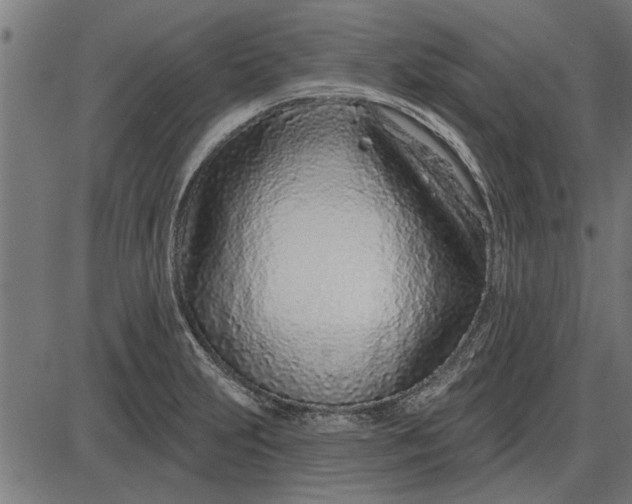 X0000086101231200704091344