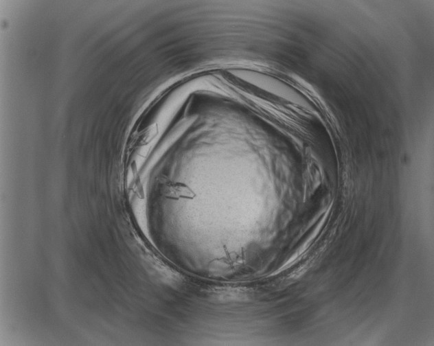 X0000086101236200704091344
