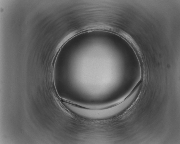 X0000086101242200704091344