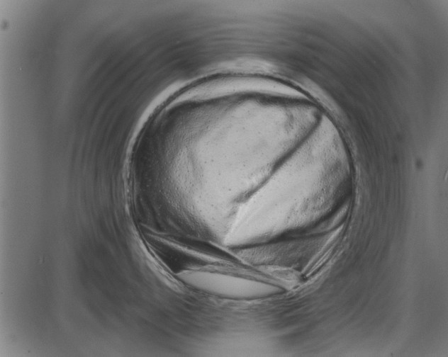X0000086101248200704091344