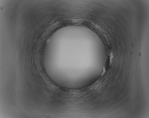 X0000086101249200704091343