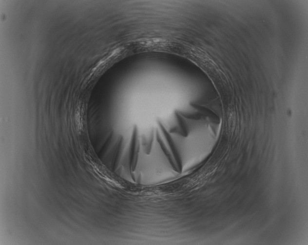 X0000086101250200704091343