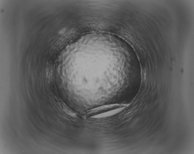 X0000086101251200704091343
