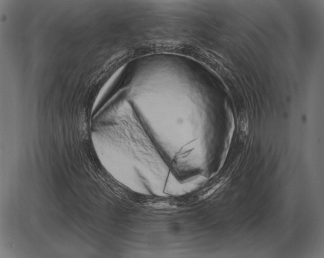 X0000086101252200704091343