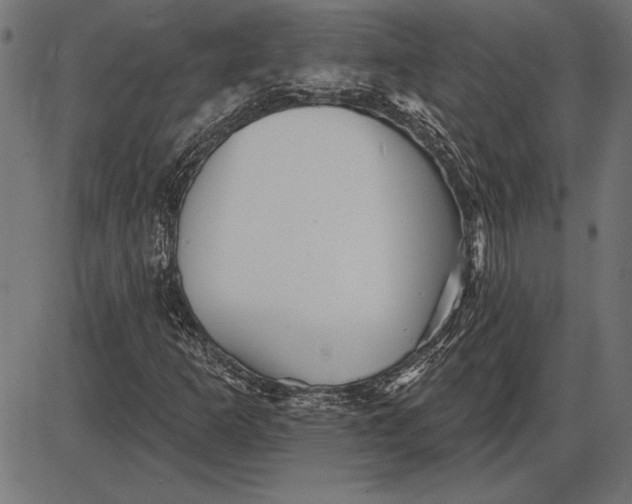 X0000086101253200704091343