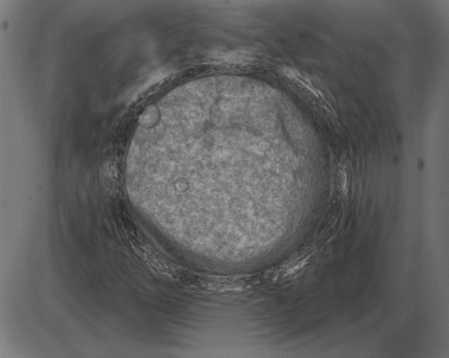 X0000086101254200704091343