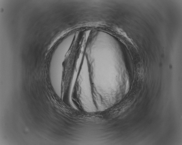 X0000086101256200704091343