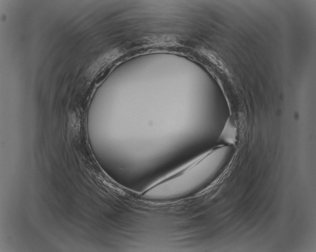 X0000086101257200704091343