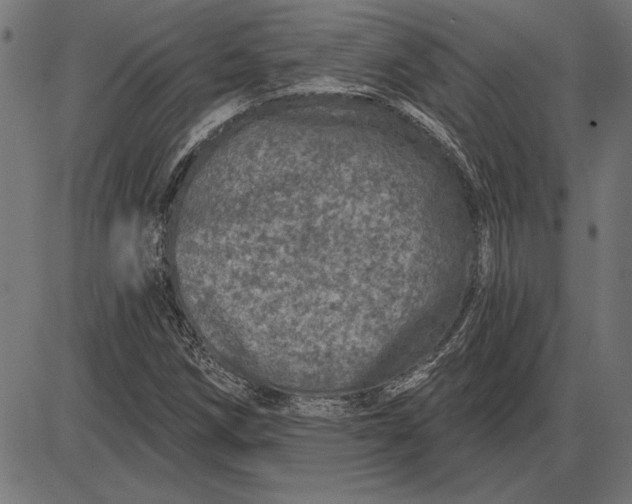 X0000086101258200704091343