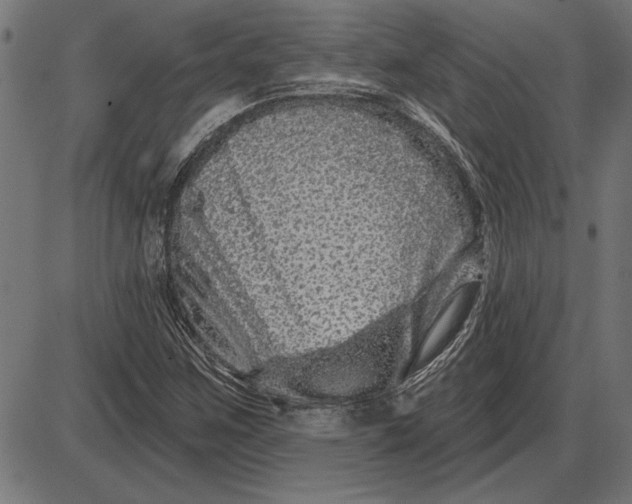 X0000086101259200704091343