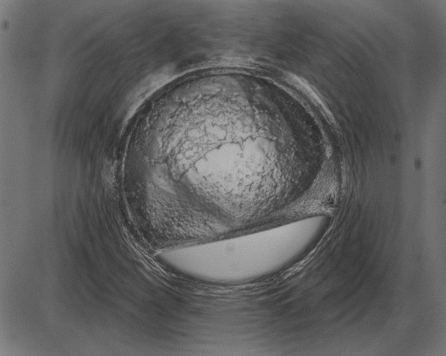 X0000086101260200704091343