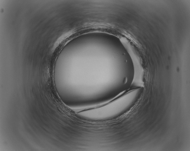 X0000086101261200704091343