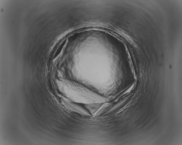 X0000086101264200704091343