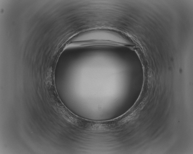 X0000086101265200704091343