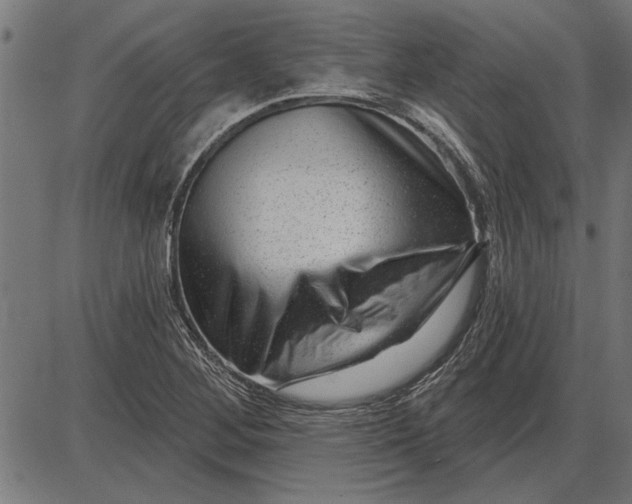X0000086101268200704091343