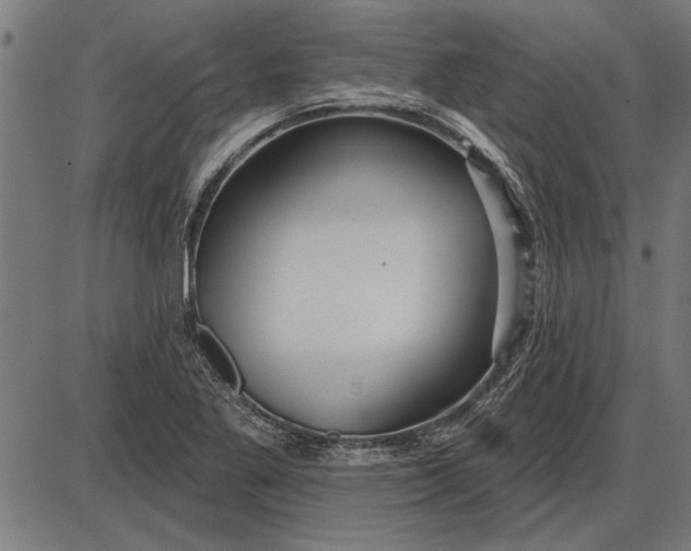 X0000086101269200704091343