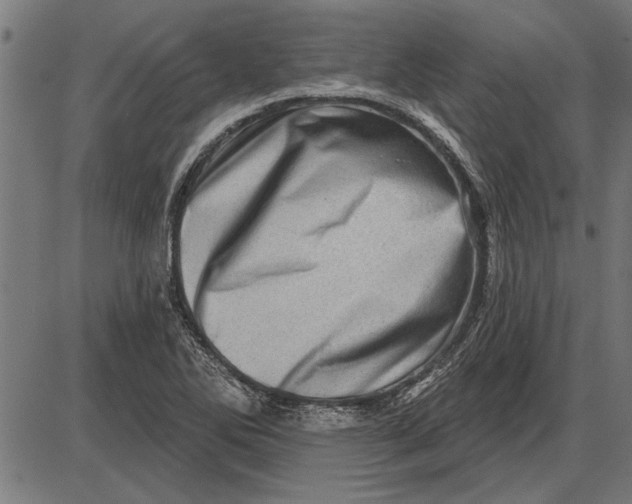 X0000086101270200704091343