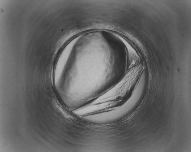 X0000086101272200704091343
