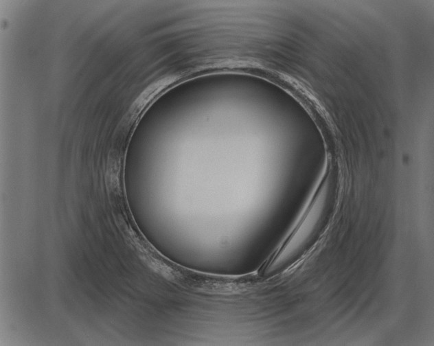X0000086101273200704091343