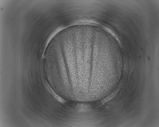 X0000086101275200704091343