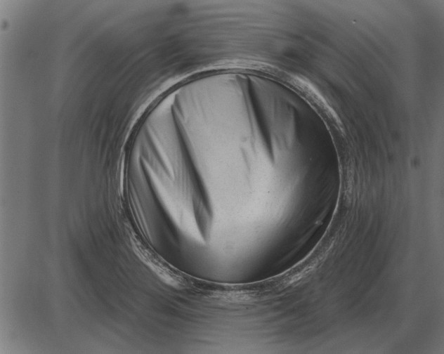 X0000086101276200704091343