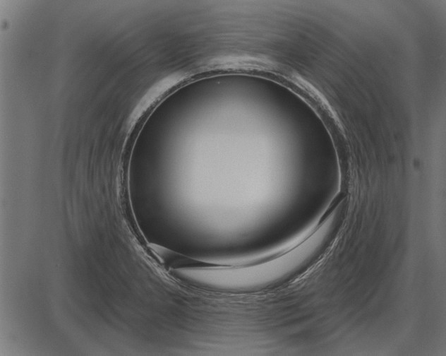 X0000086101277200704091343