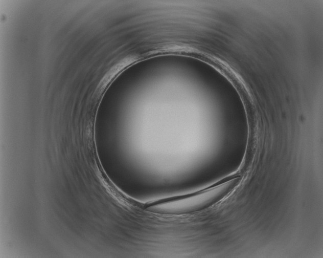 X0000086101281200704091343