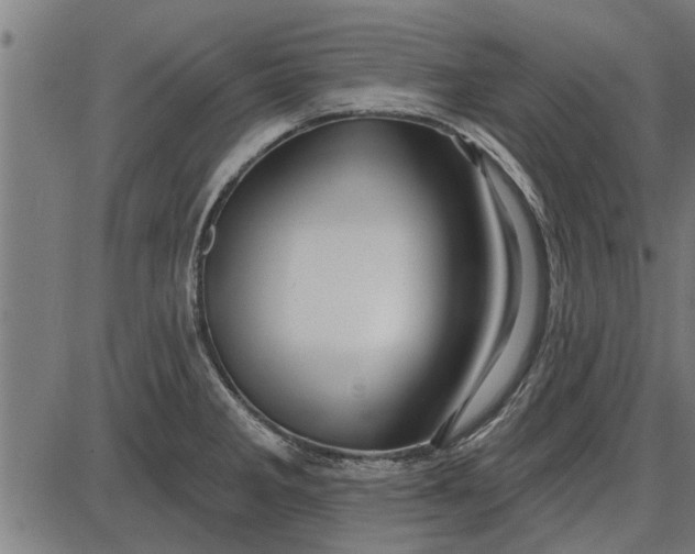 X0000086101285200704091343