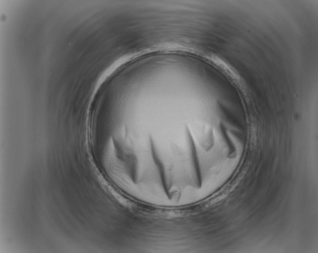 X0000086101286200704091343