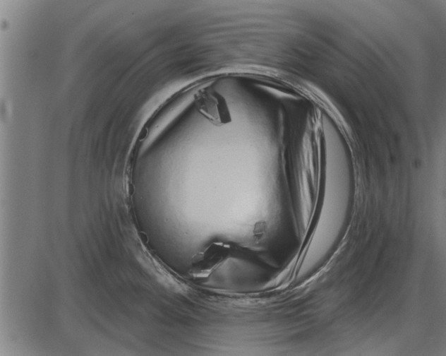 X0000086101292200704091343