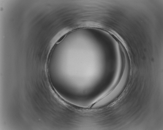X0000086101293200704091343