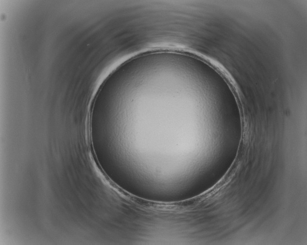 X0000086101295200704091343