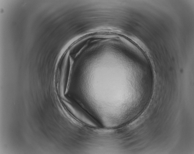 X0000086101296200704091342