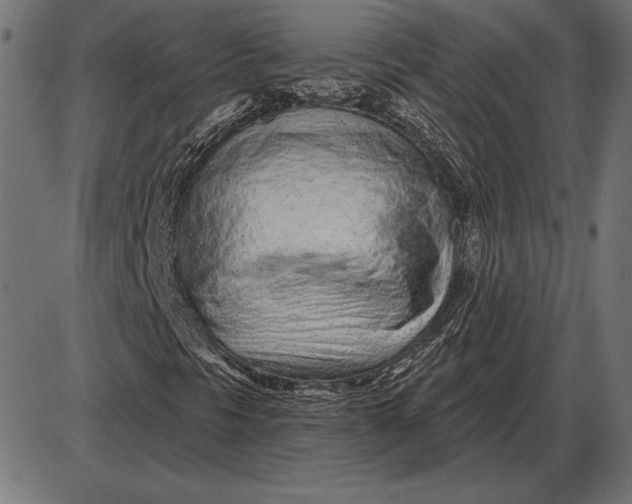 X0000086101297200704091342