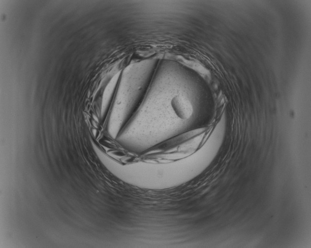 X0000086101298200704091342