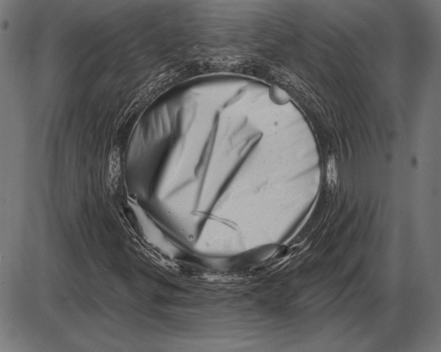 X0000086101299200704091342