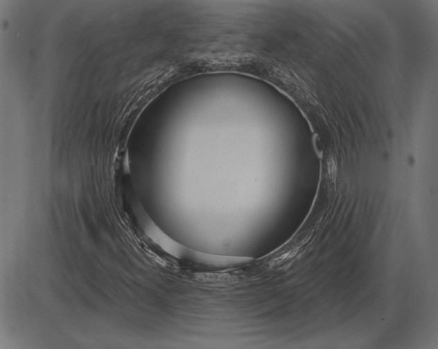 X0000086101300200704091342