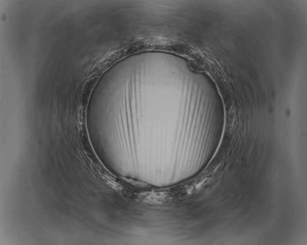 X0000086101301200704091342
